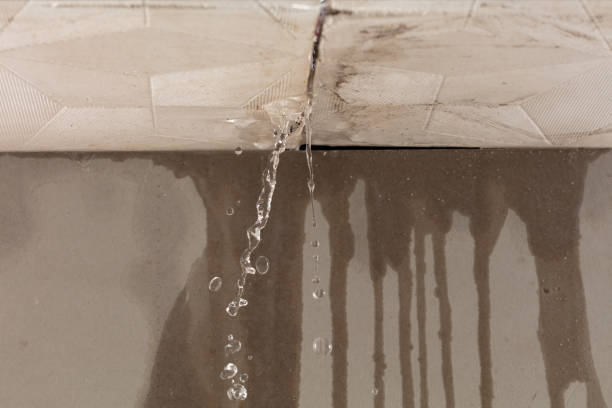 Professional Structural Drying technician working in Saranac, MI